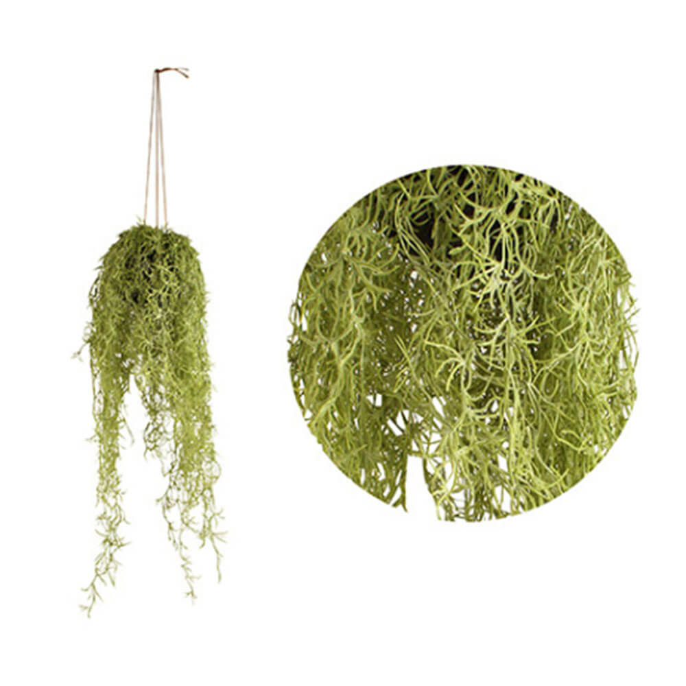 Real Touch Airplant en colgar una olla blanca