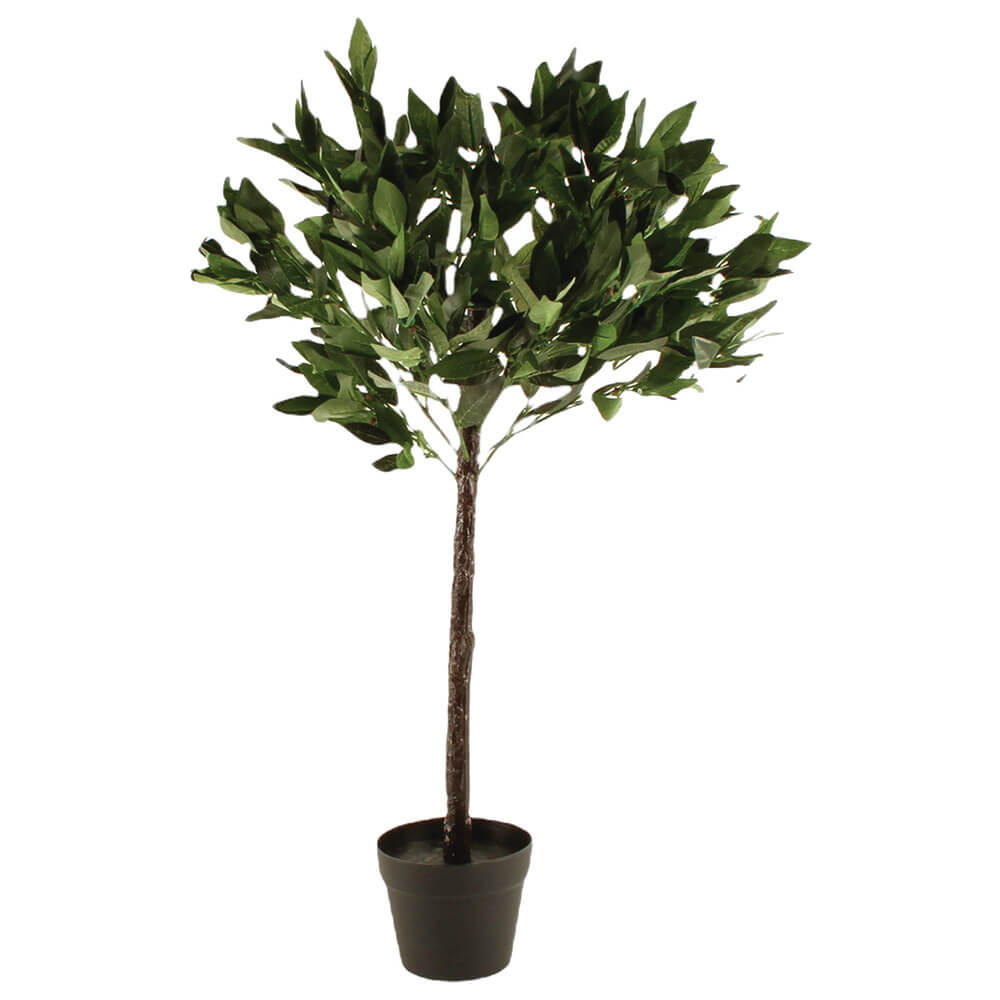 Plante en pot 60cm