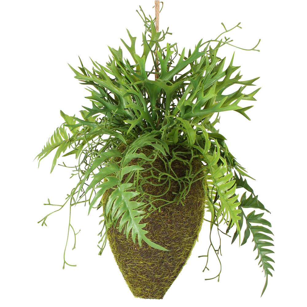 Moana Kokedama mista sospesa