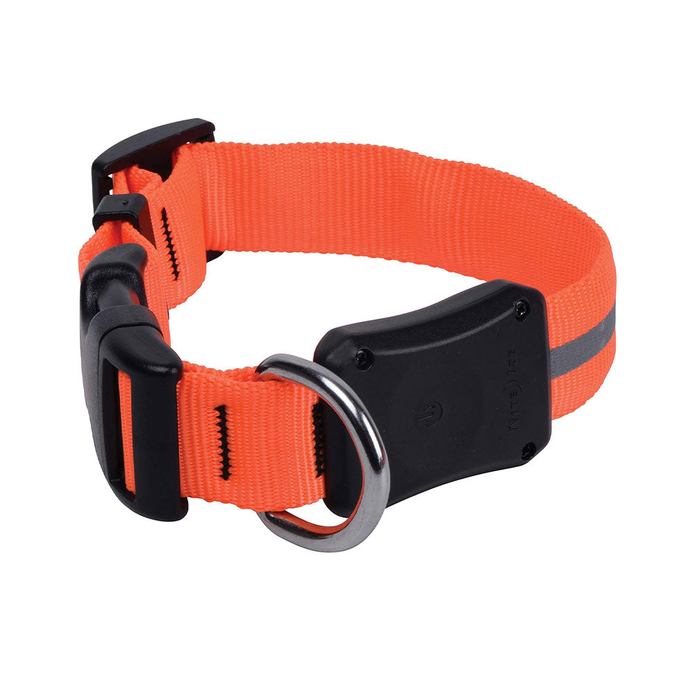 Collier nite ize dawg (orange)