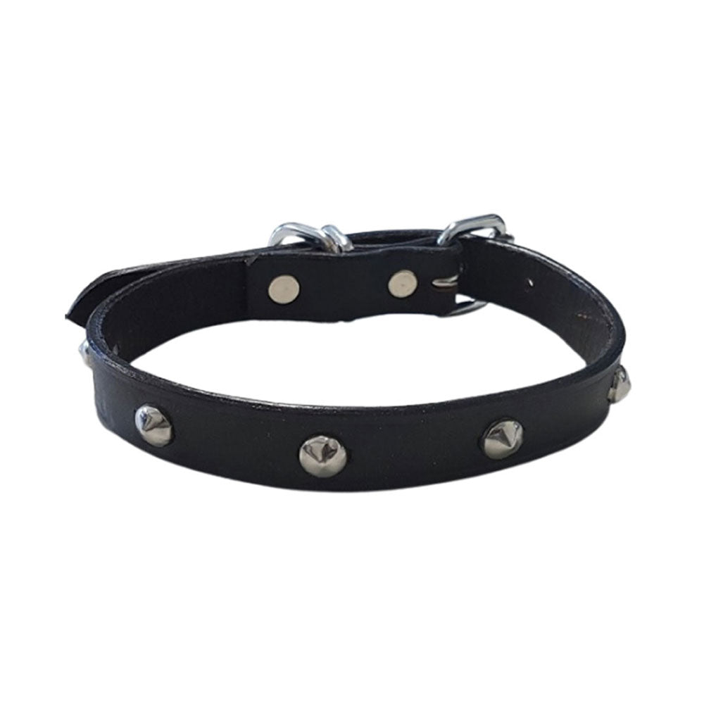 Halsband mit Leder besorgt (schwarz)