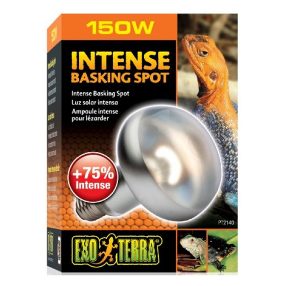 Exo terra intens basking spot lampe