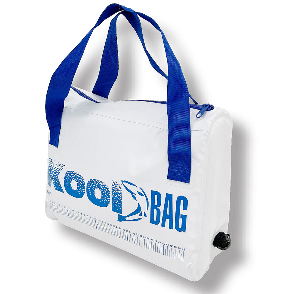 Borsa isolata Kool