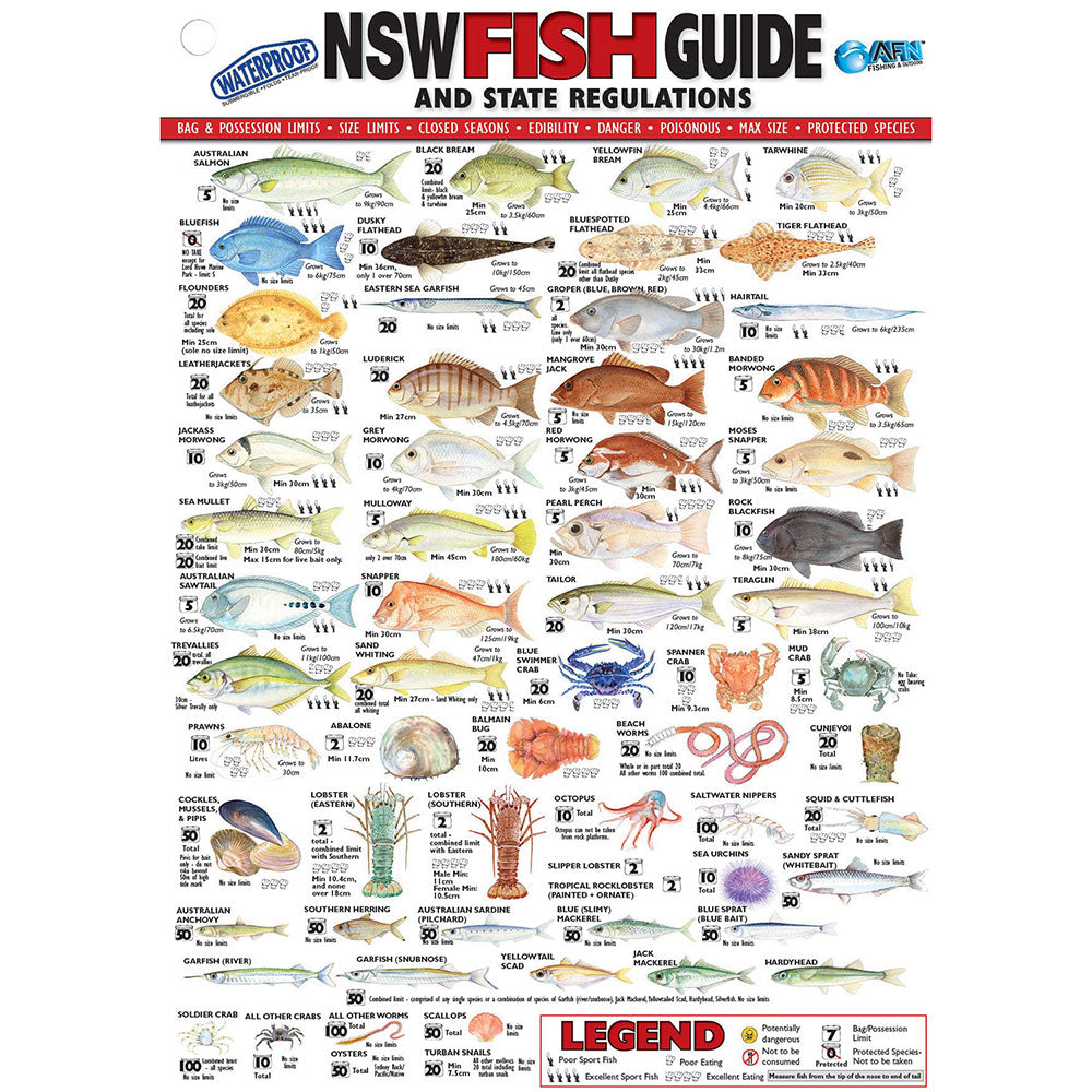 Tarjeta de identificación de pescado de vinilo