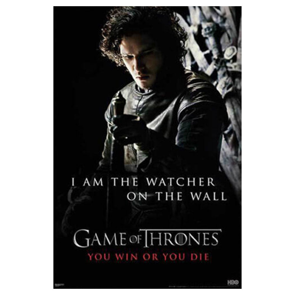 Game of Thrones-Poster