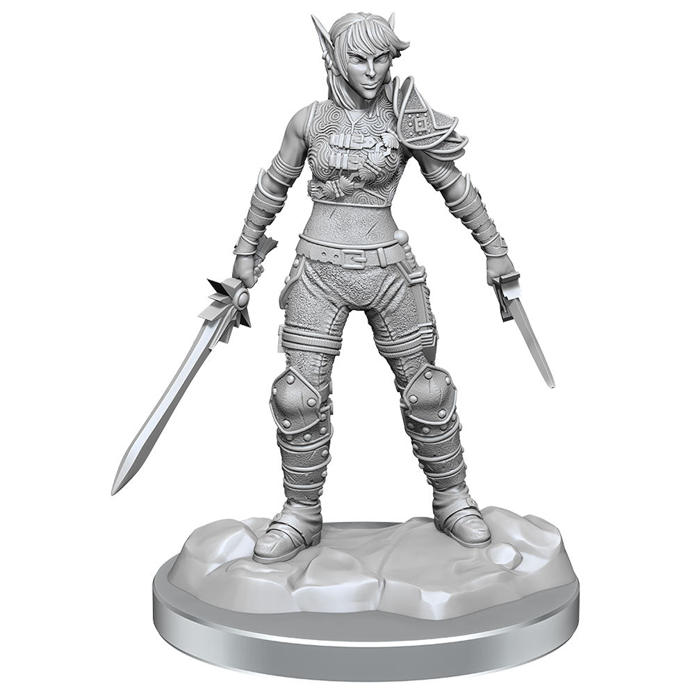 D & D Nolzurs Marvelous Elf Rogue Miniature