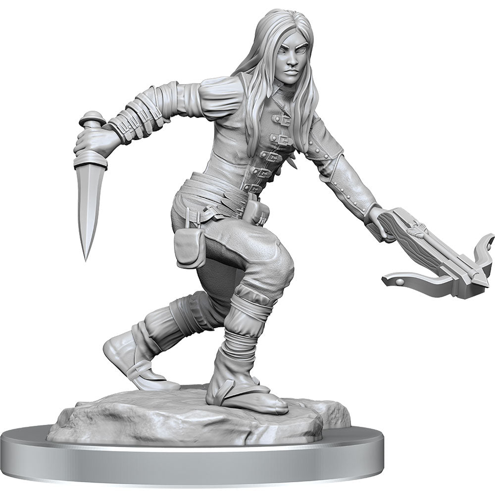 D&D Nolzurs Marvelous Elf Rogue miniature