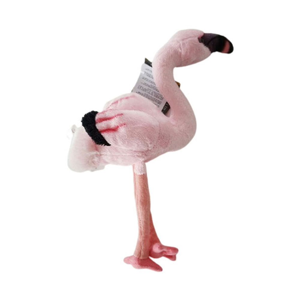 National Geographic Flamingo Tyt