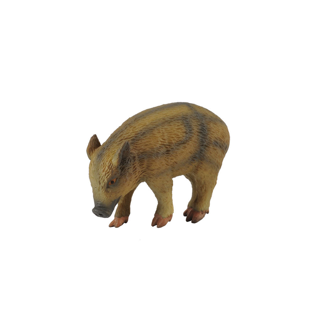 COLLECTA Wild Piglelet Figure (Small)