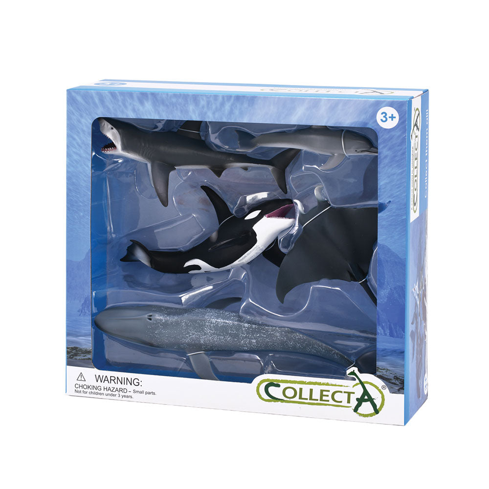 Collecta Sea Life Animal Figuresギフトセット