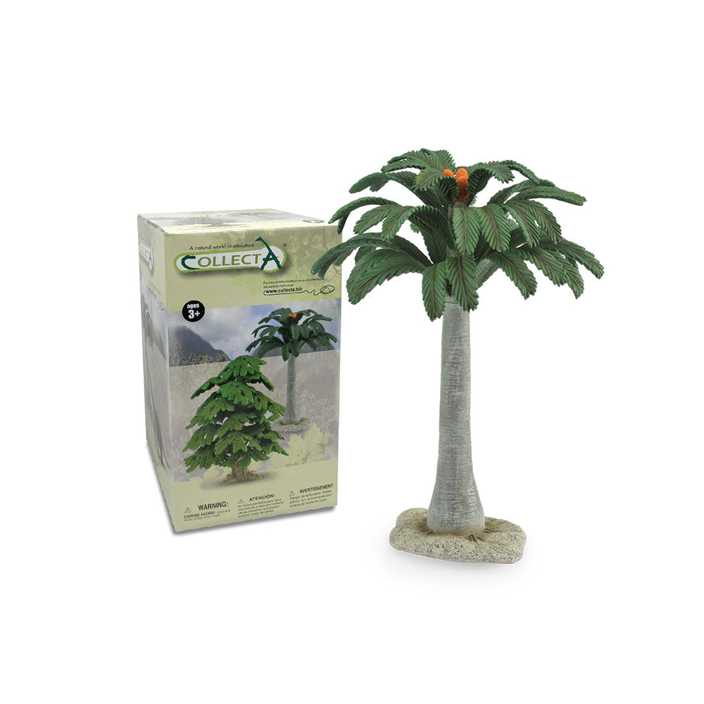 Figura dell'albero cycad da collezione