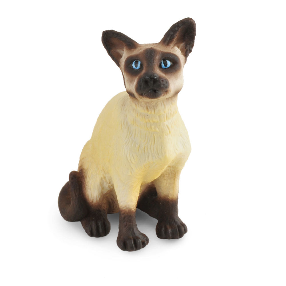 CollectA Sitting Siamese Cat Figure (Small)