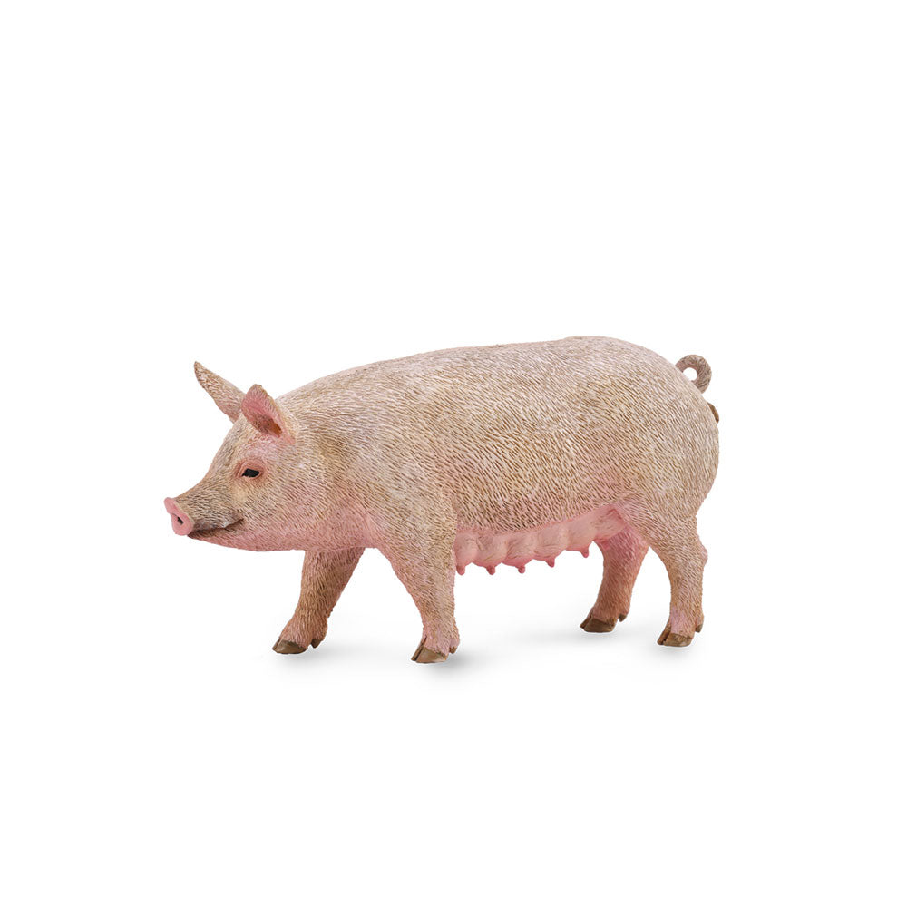 Figura de Collecta Pig (medio)