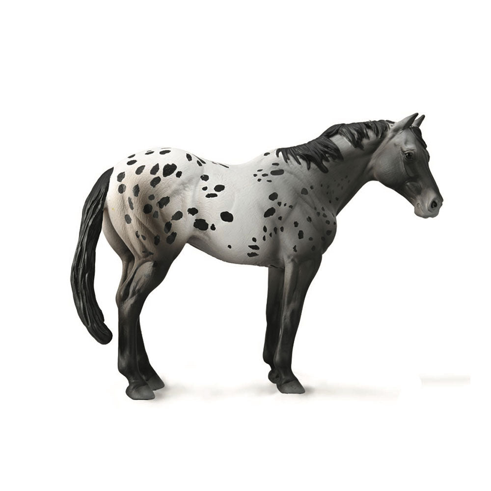 CollectA Appaloosa Hengst Figur (XL)