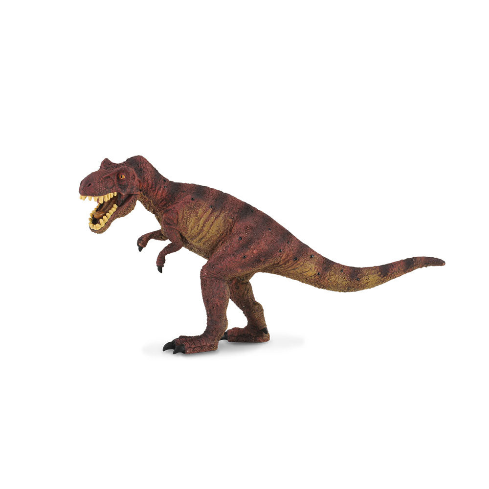 Collecta Tyrannosaurus Rex Dinosaur Figure (grand)