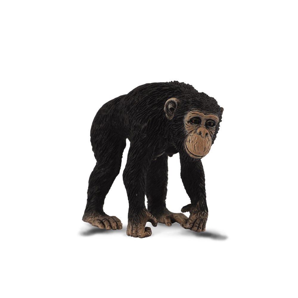 Collecta Chimpansee Figur (medium)