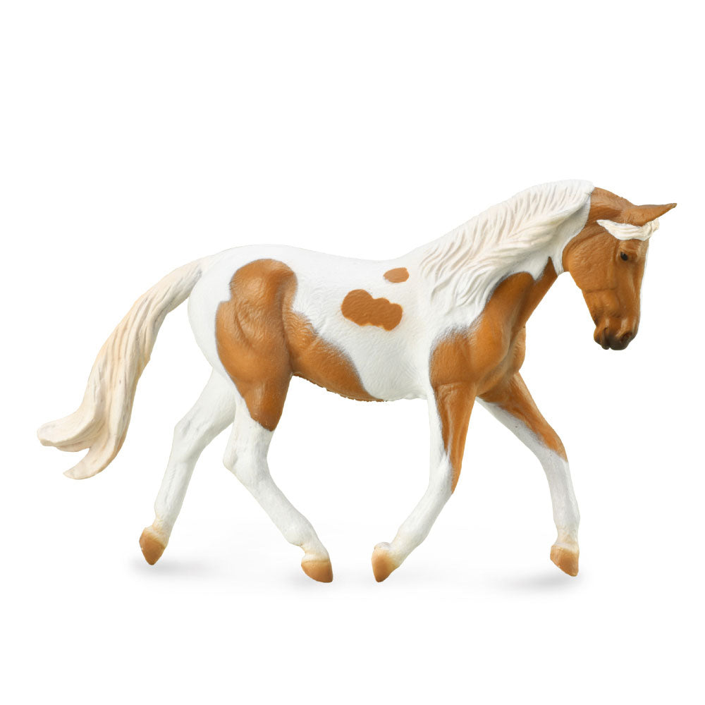 CollectA Pinto Mare Figur (extra groß)