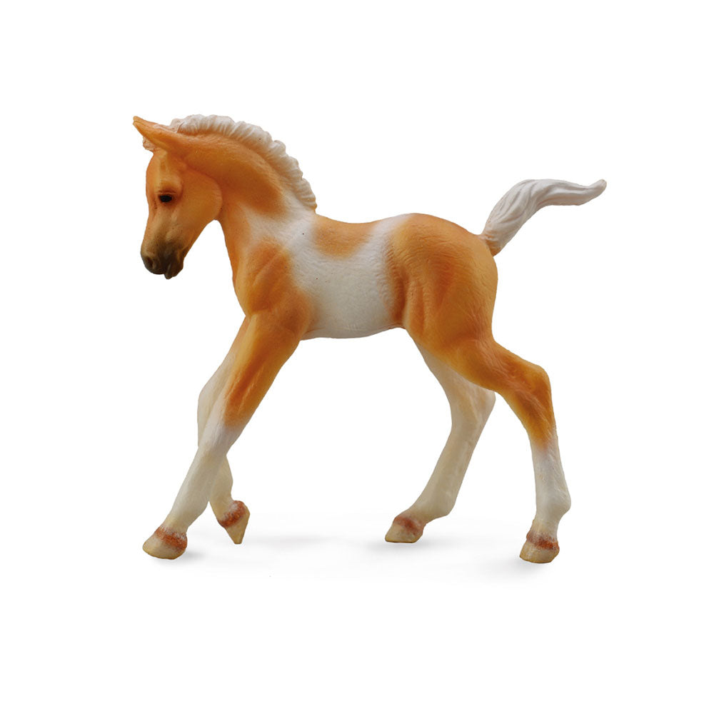 CollectA Pinto Foal Palomino Figure (Medium)