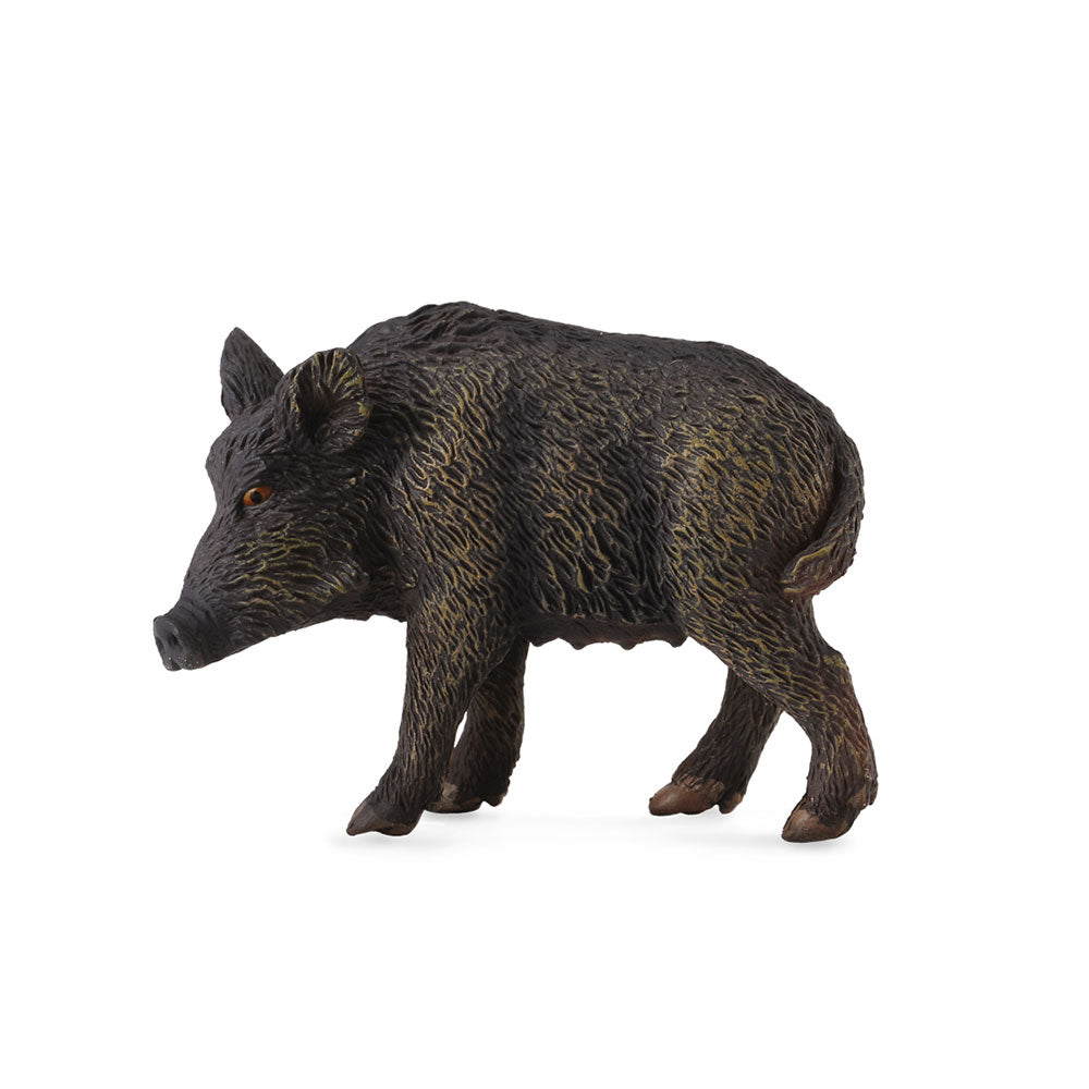 Collecta Wild Pig Figura (medio)