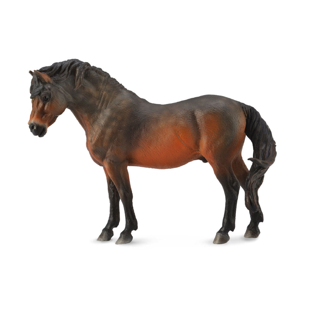 Collecta Dartmoor Horse Bay Figur (stor)