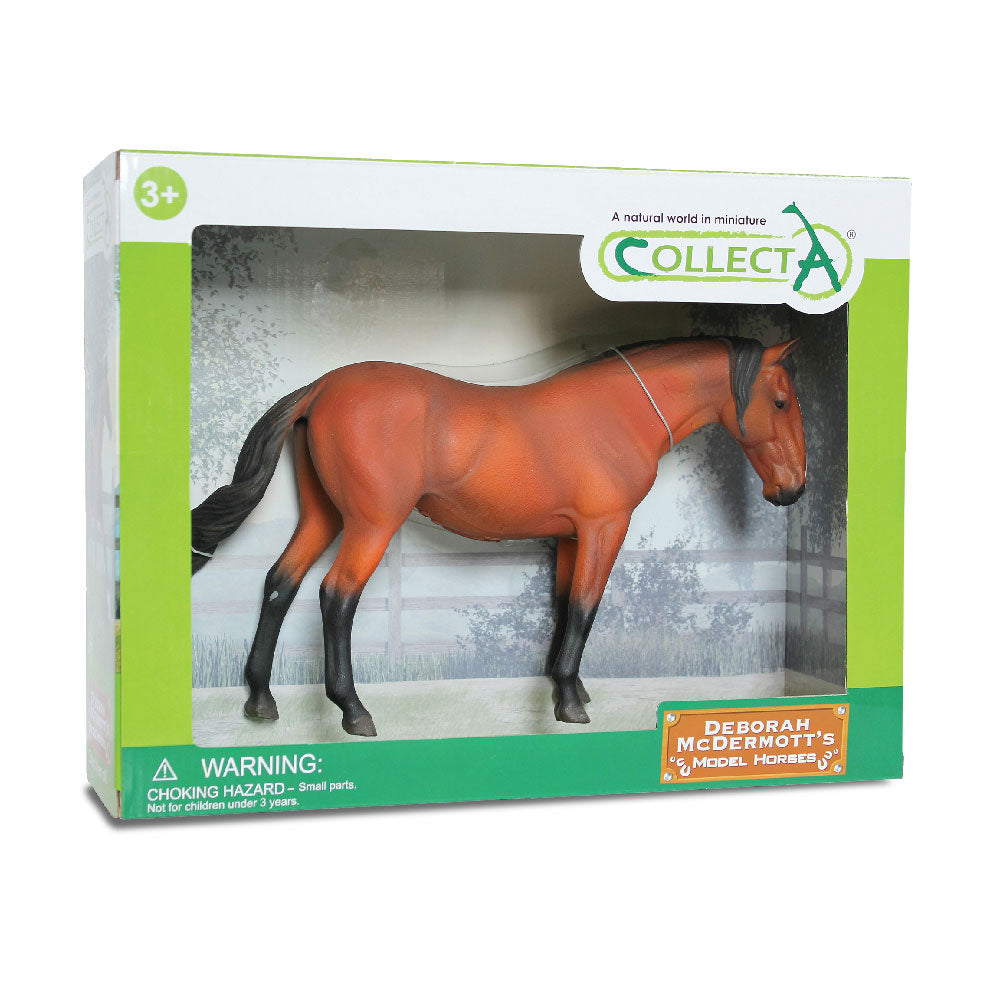 Figura da collega lusitano Mare