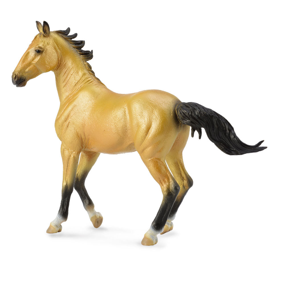 Collecta Akhal Teke Mare (extra groot)