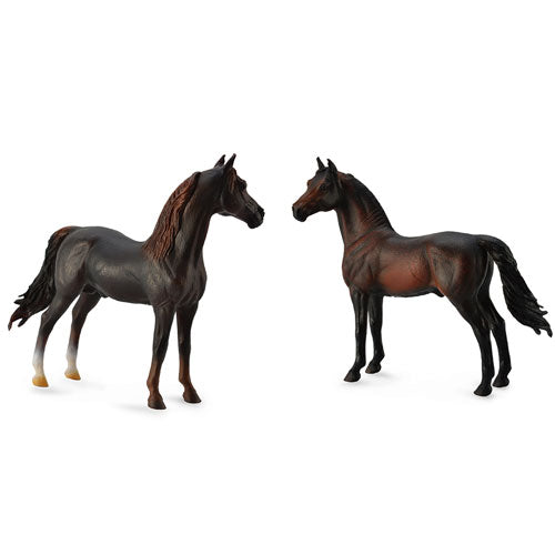 CollectA Morgan Stallion Figure (Extra Large)