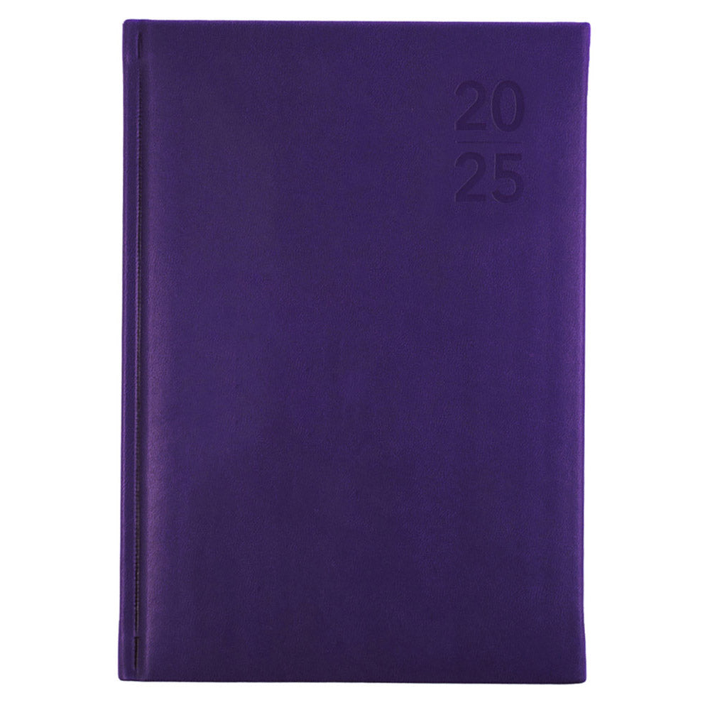 Debden Silhouette A5 Day to Side 2025 Diary