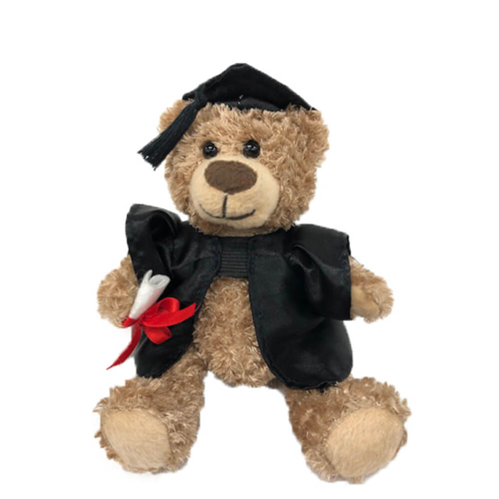 Graduação urso de pelúcia