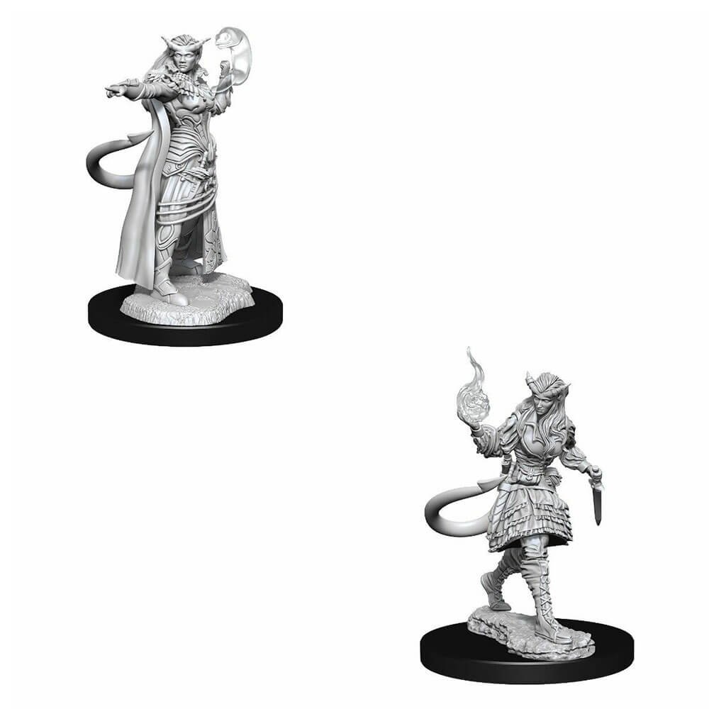 D&D Nolzurs Miniaturas sin pintar