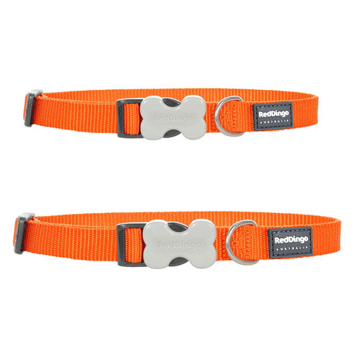 Classic Dog Collar (Orange)