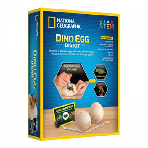 Dino Egg Dig Science Kits